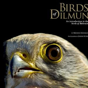 Book cover birds of dilmun with large bridge face on cover
