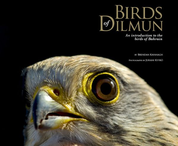 Book cover birds of dilmun with large bridge face on cover